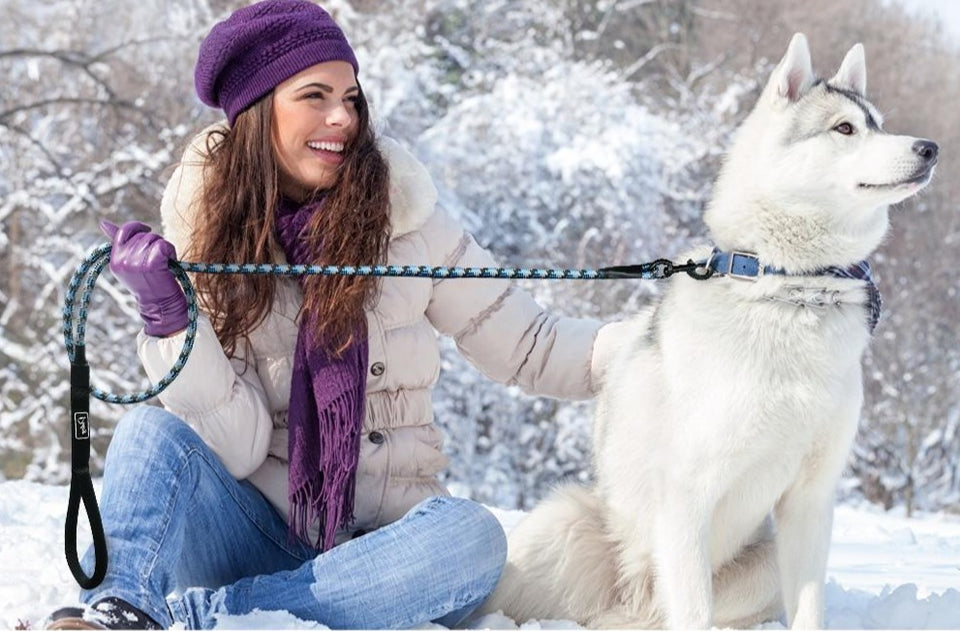 Premium Quality Nylon Reflective Dog Leash